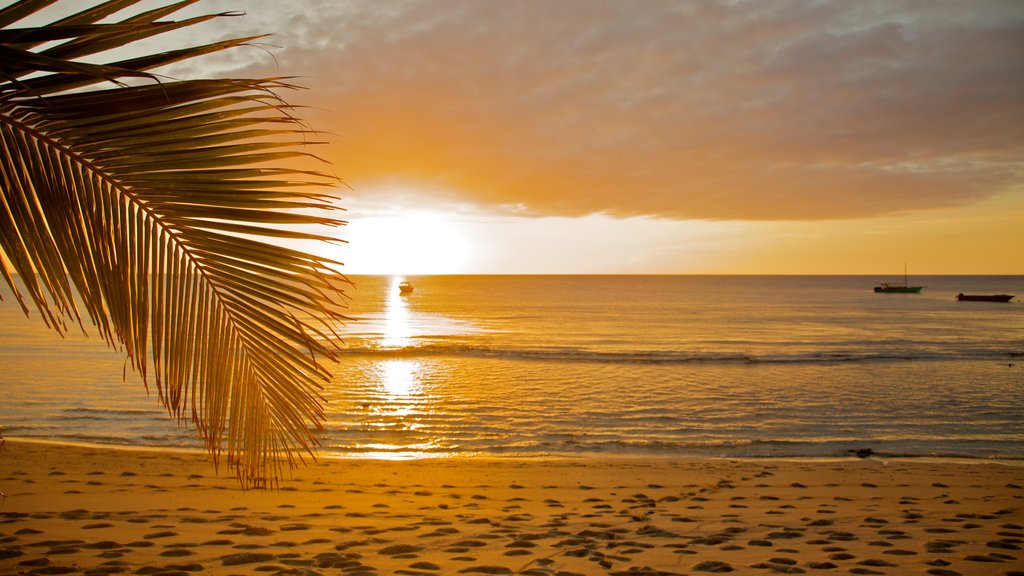 Islas Yasawas que incluye un atardecer, escenas tropicales y una playa