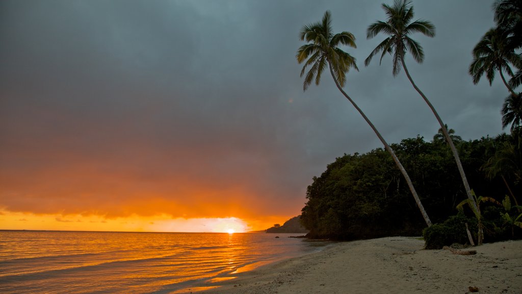 Coral Coast featuring tropical scenes, a beach and a sunset