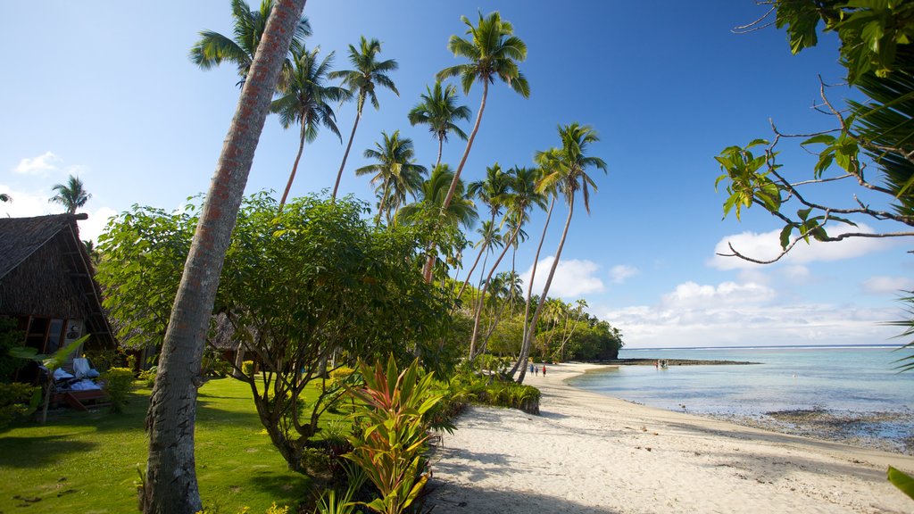 Coral Coast showing a sandy beach and tropical scenes