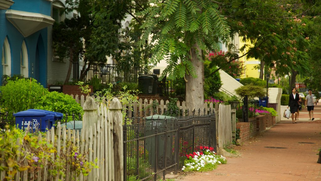 Georgetown - Foggy Bottom showing street scenes, a city and a house