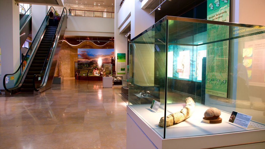 Museu Nacional da Indonésia caracterizando vistas internas