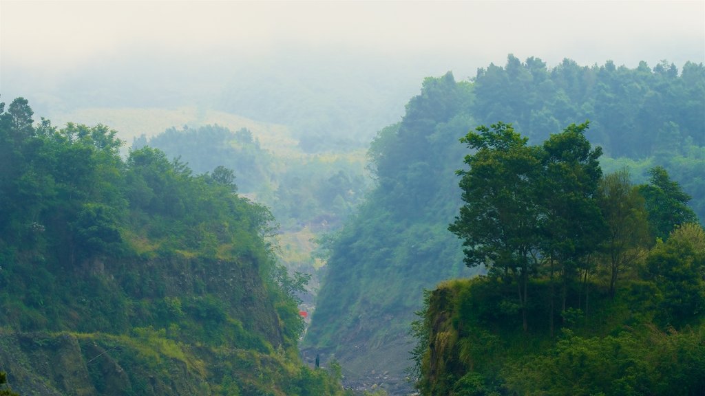 Parque Nacional Gunung Merbabu, Yogyakarta, Indonesia que incluye niebla o neblina, imágenes de bosques y vista panorámica