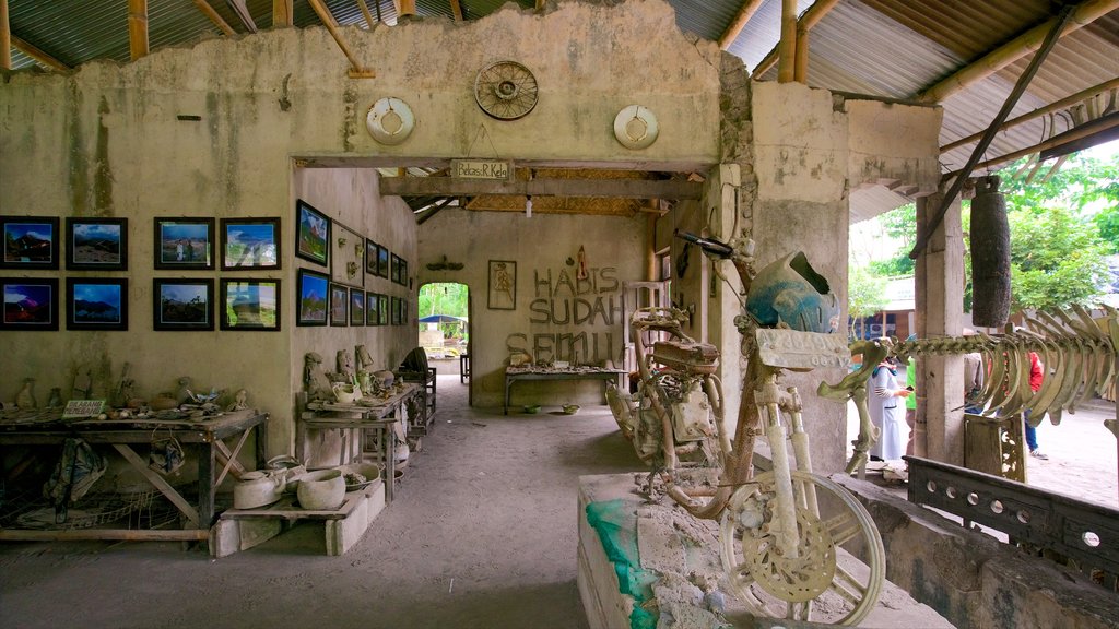 Gunung Merbabu National Park showing heritage elements and interior views