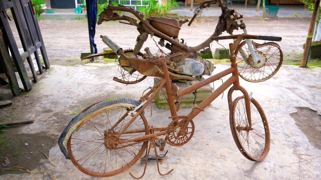 Gunung Merbabu National Park which includes outdoor art