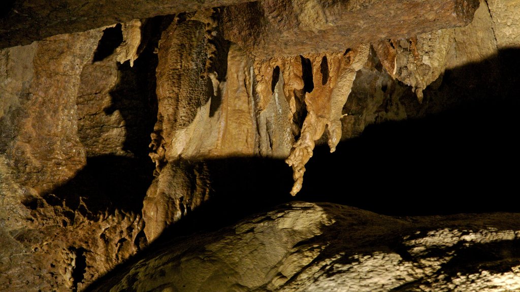 Marble Arch Caves showing caving