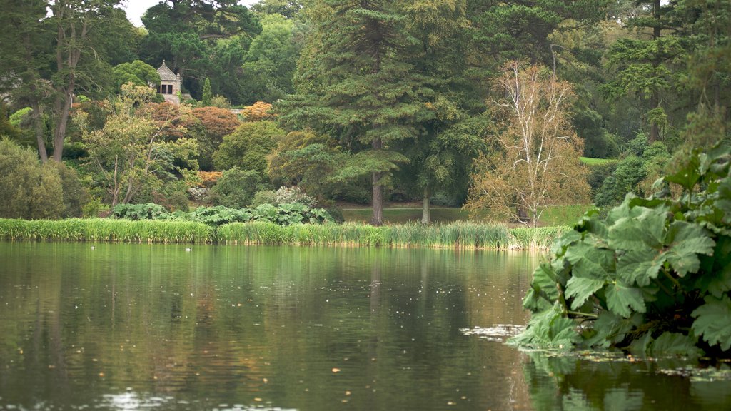 Mount Stewart featuring a pond, wetlands and a garden