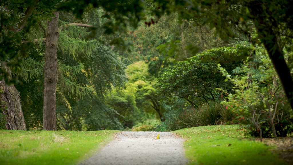 Mount Stewart showing a park