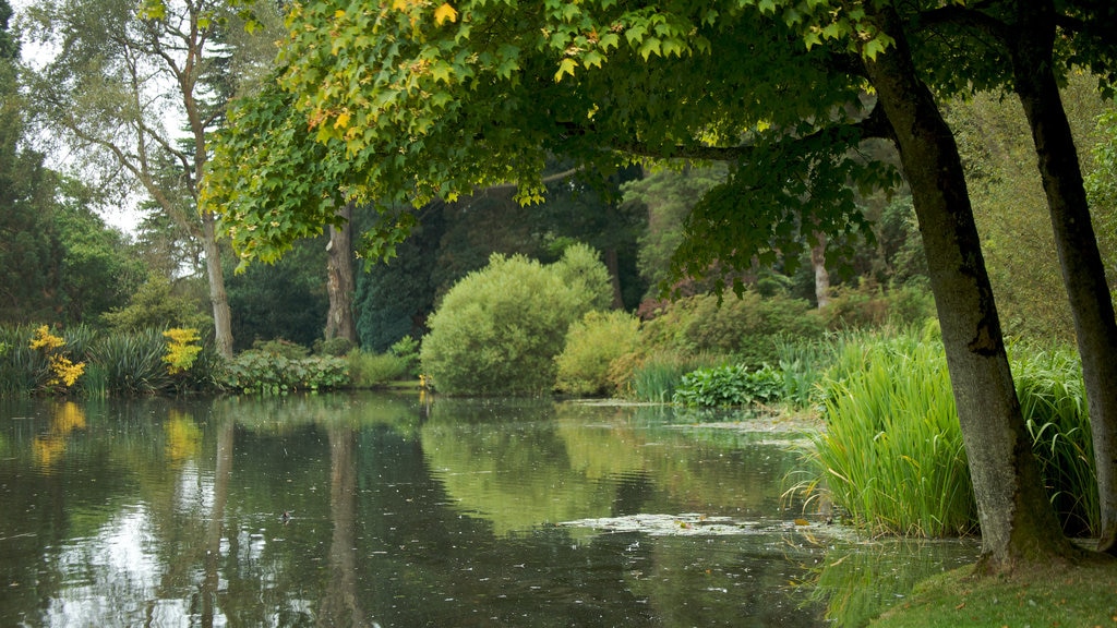 Mount Stewart mostrando un estanque, un parque y pantanos