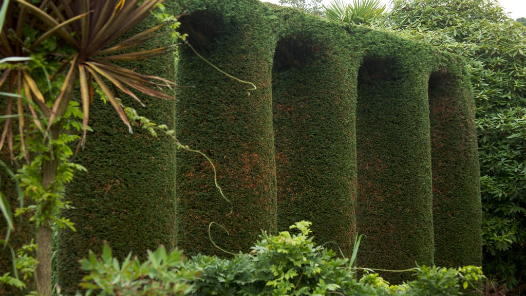 Mount Stewart showing a garden