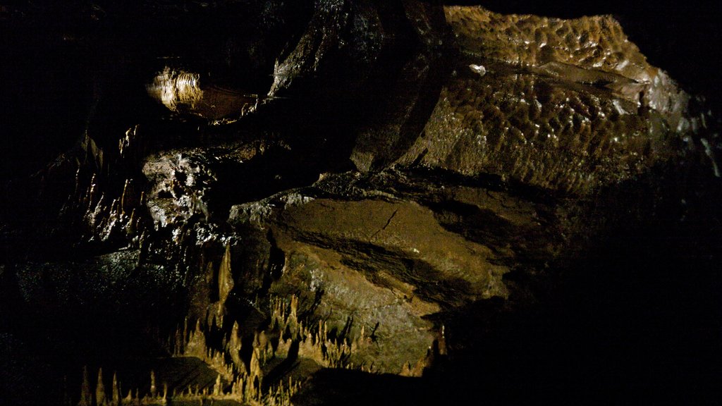 Marble Arch Caves showing caving