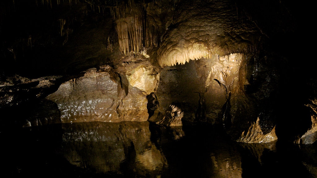 Marble Arch Caves showing caving