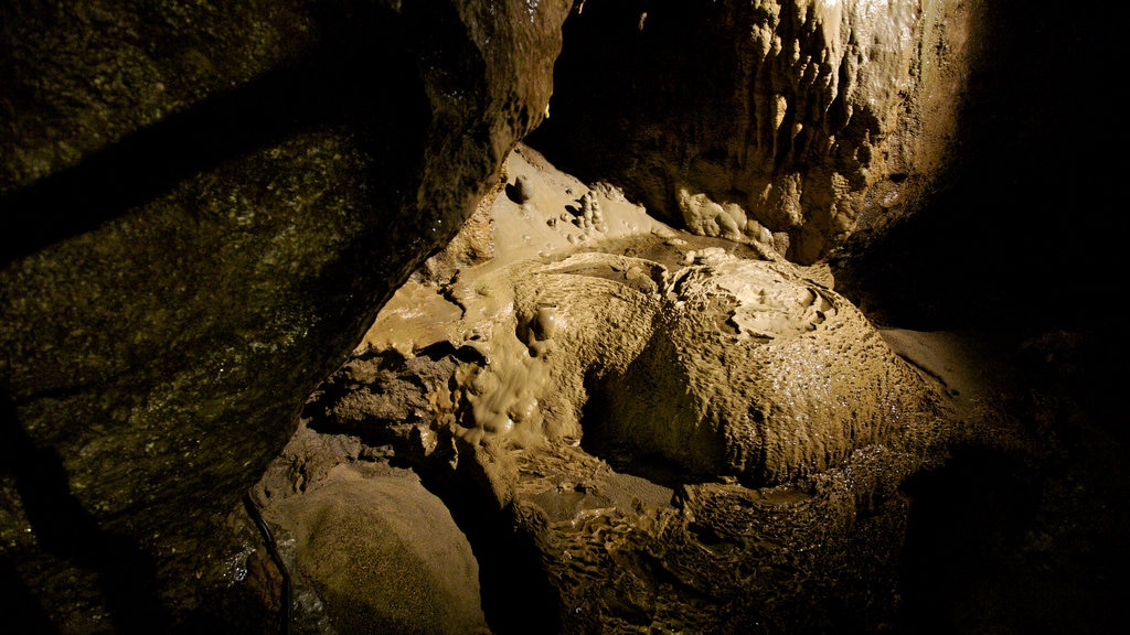 Marble Arch Caves ofreciendo espeleología