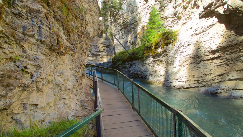 Johnston Canyon featuring a river or creek and a gorge or canyon