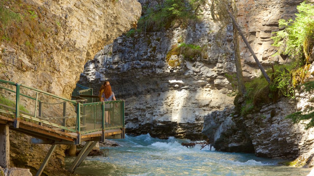 Johnston Canyon showing a river or creek and a gorge or canyon as well as a couple