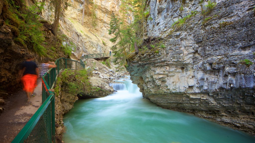 Johnston Canyon mostrando um desfiladeiro ou canyon e um rio ou córrego