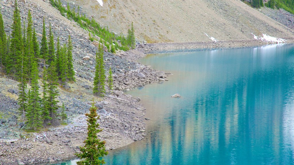 Lago Moraine mostrando un lago o espejo de agua