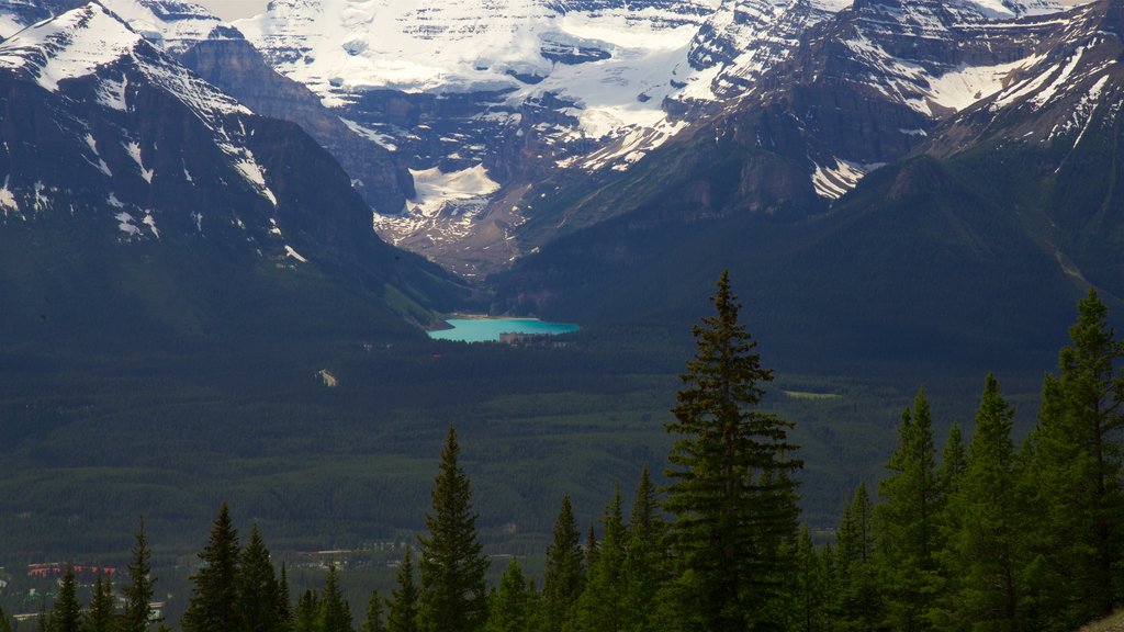 Funicular de Lake Louise ofreciendo escenas tranquilas, montañas y un lago o espejo de agua