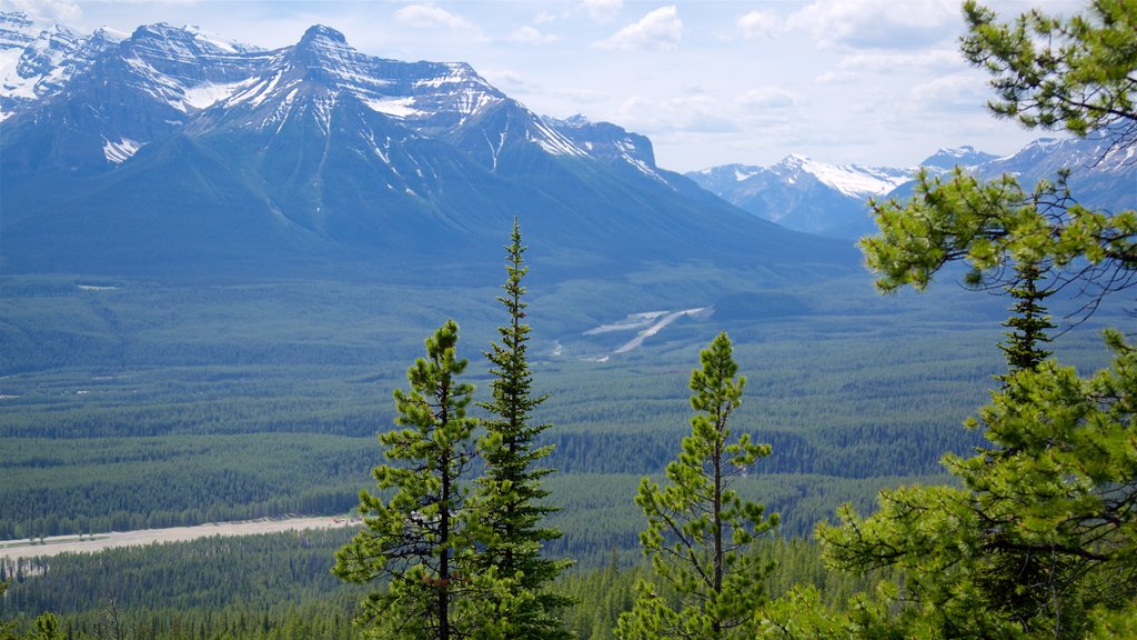 Lake Louise Gondola featuring tranquil scenes and mountains