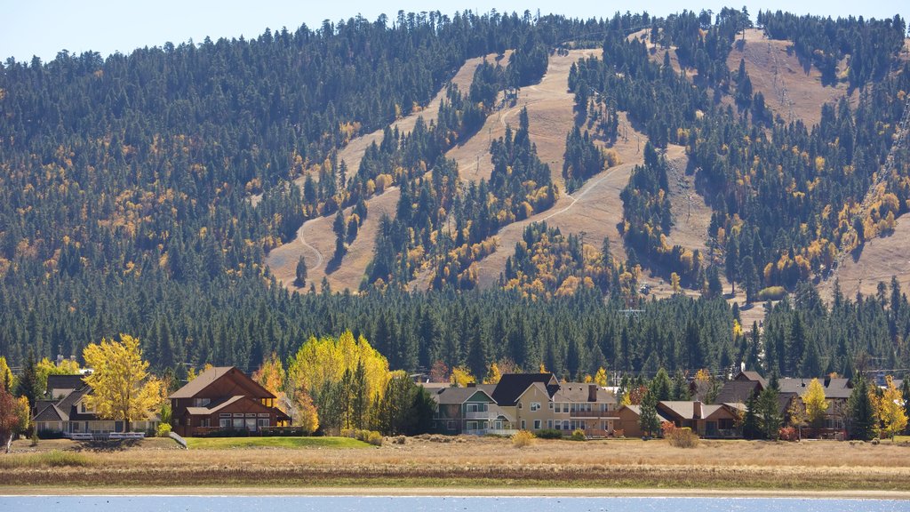 Big Bear Lake which includes tranquil scenes, a small town or village and a river or creek