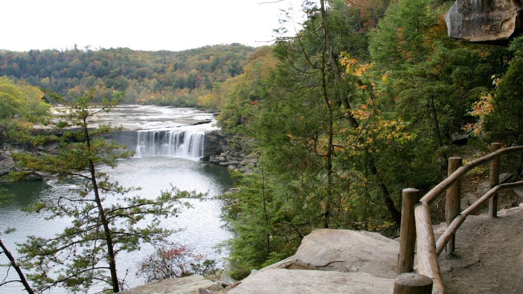 Cumberland Falls som viser elv eller bekk, vannfall og rolig landskap