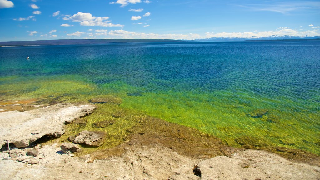 West Thumb welches beinhaltet Felsküste und allgemeine Küstenansicht