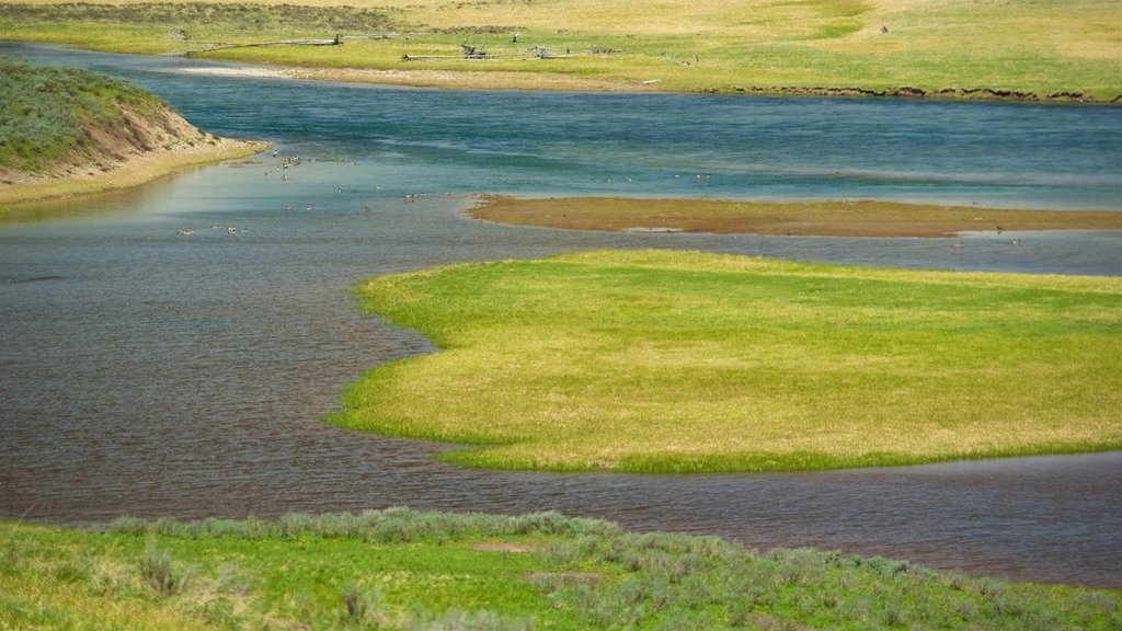 Hayden Valley som omfatter fredfyldte omgivelser, udsigt over landskaber og en flod eller et vandløb