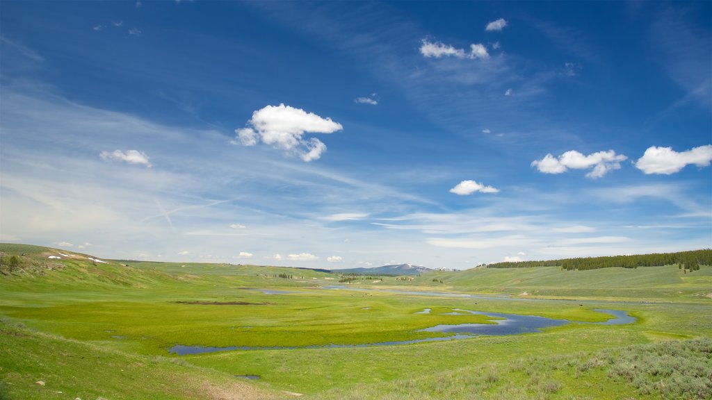 Hayden Valley showing tranquil scenes, wetlands and landscape views