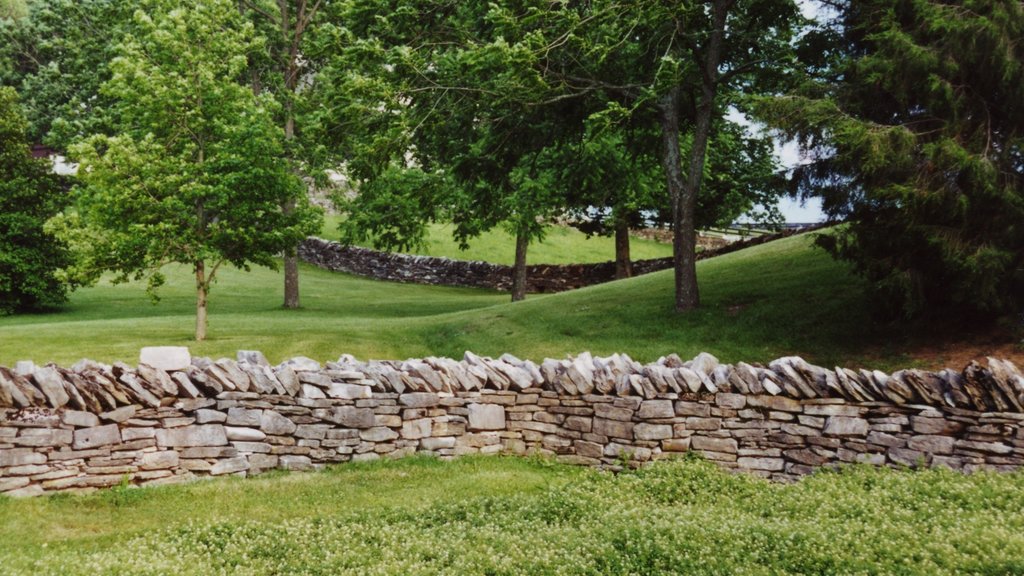 Shaker Village of Pleasant Hill montrant parc