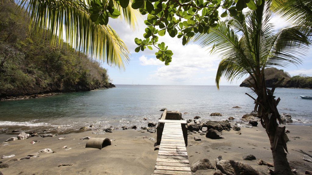 São Vicente e Granadinas que inclui uma praia, paisagens litorâneas e cenas tropicais