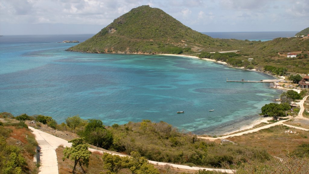 San Vicente y las Granadinas ofreciendo vistas generales de la costa y montañas