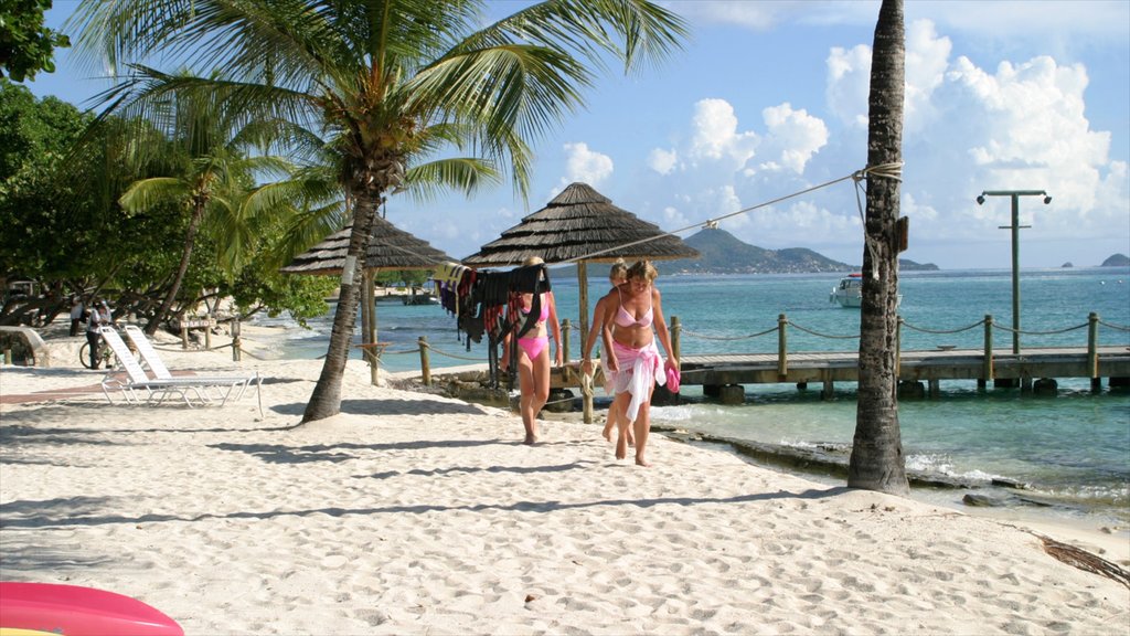 São Vicente e Granadinas que inclui cenas tropicais, uma praia e paisagens litorâneas