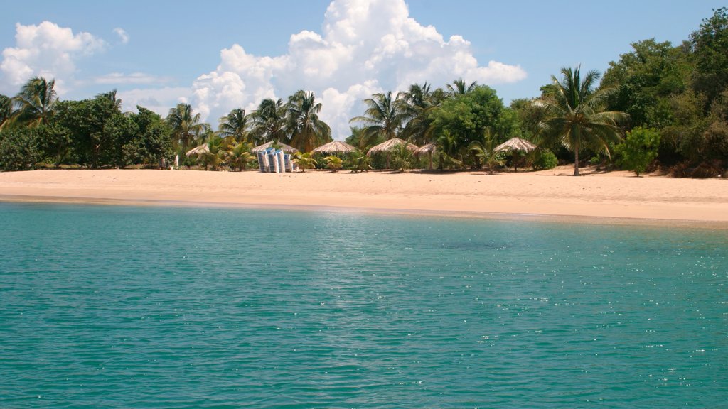 San Vicente y las Granadinas que incluye vista general a la costa, escenas tropicales y una playa de arena