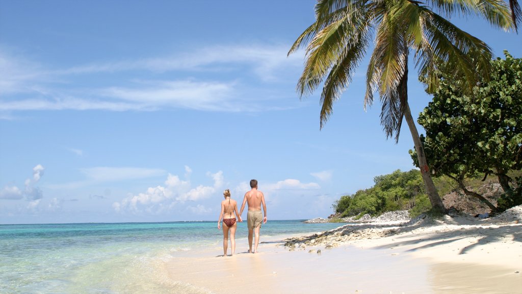 St. Vincent en de Grenadines toont tropische uitzichten, algemene kustgezichten en een strand