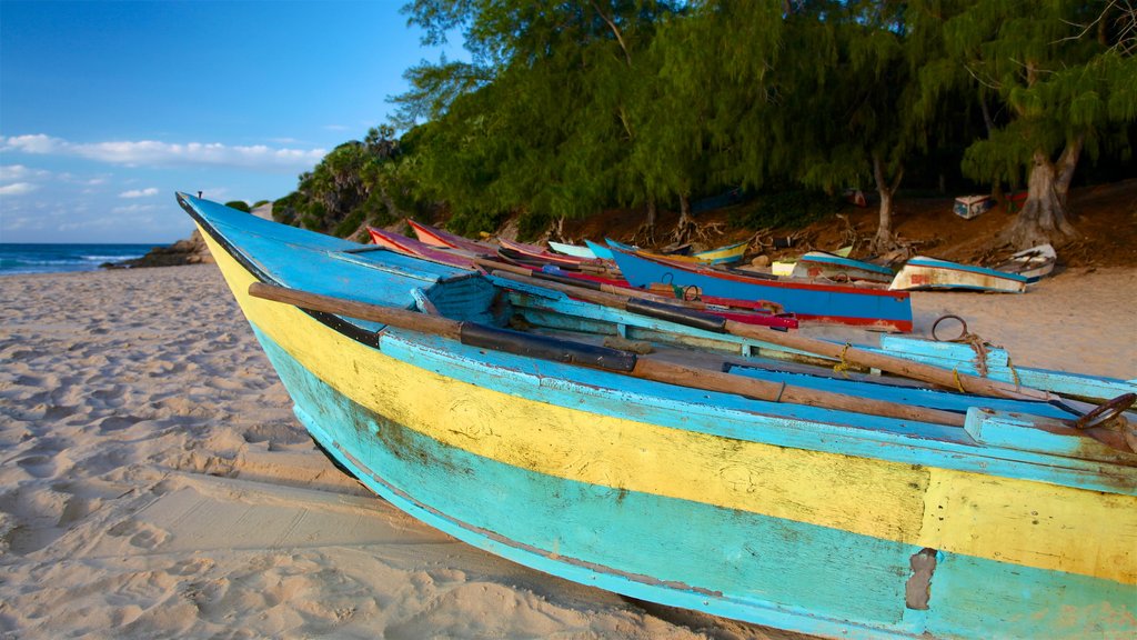 Tofo Beach showing general coastal views and a sandy beach