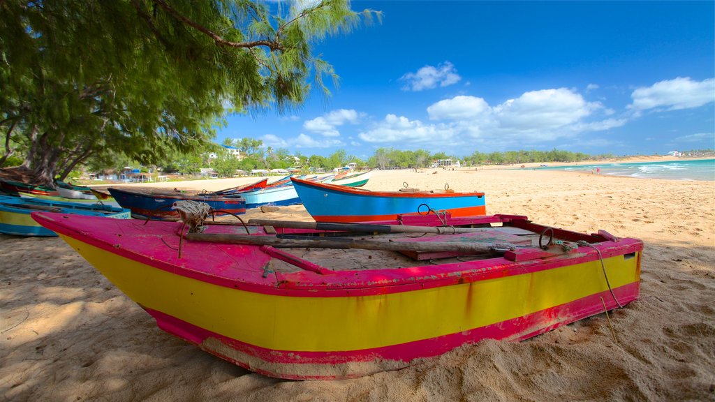 Tofo Beach showing a beach and general coastal views