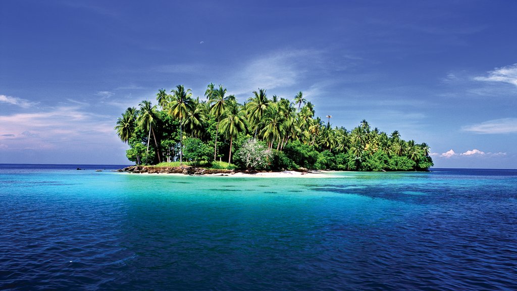 Madang ofreciendo imágenes de una isla, vista general a la costa y escenas tropicales