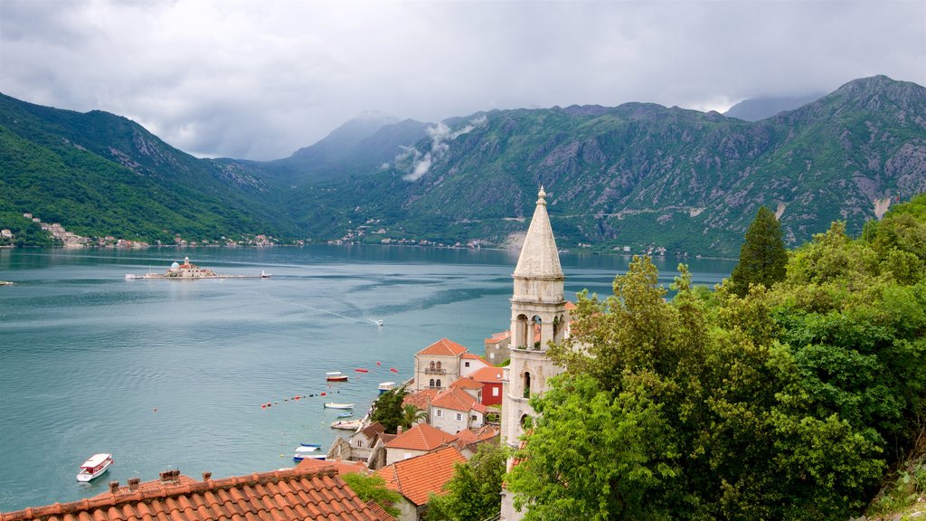 Kotor