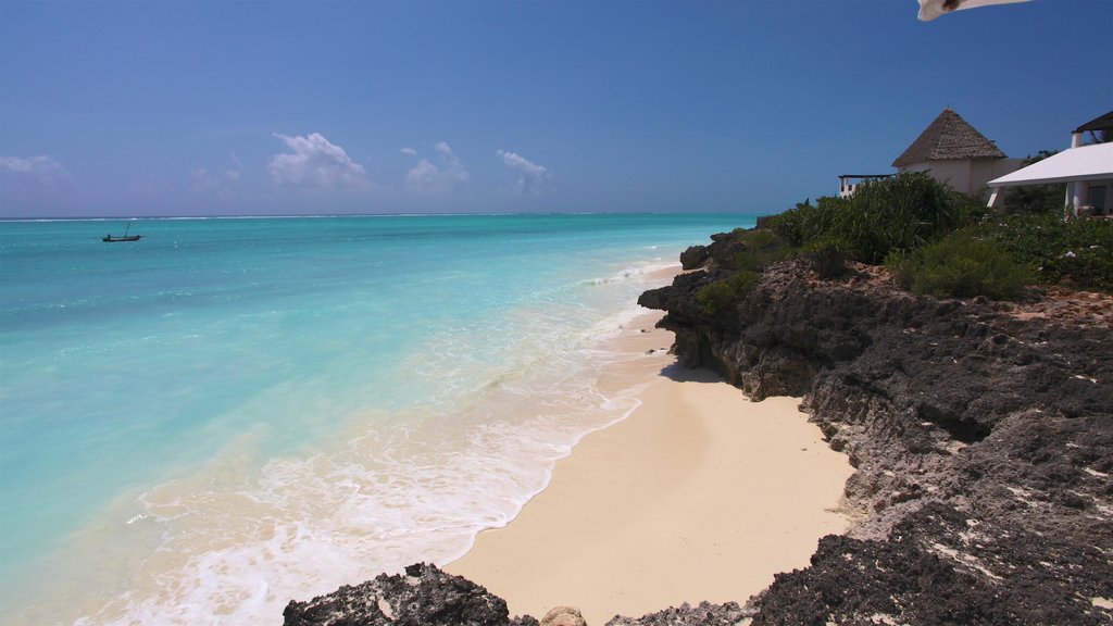 Nungwi Beach featuring a beach and tropical scenes