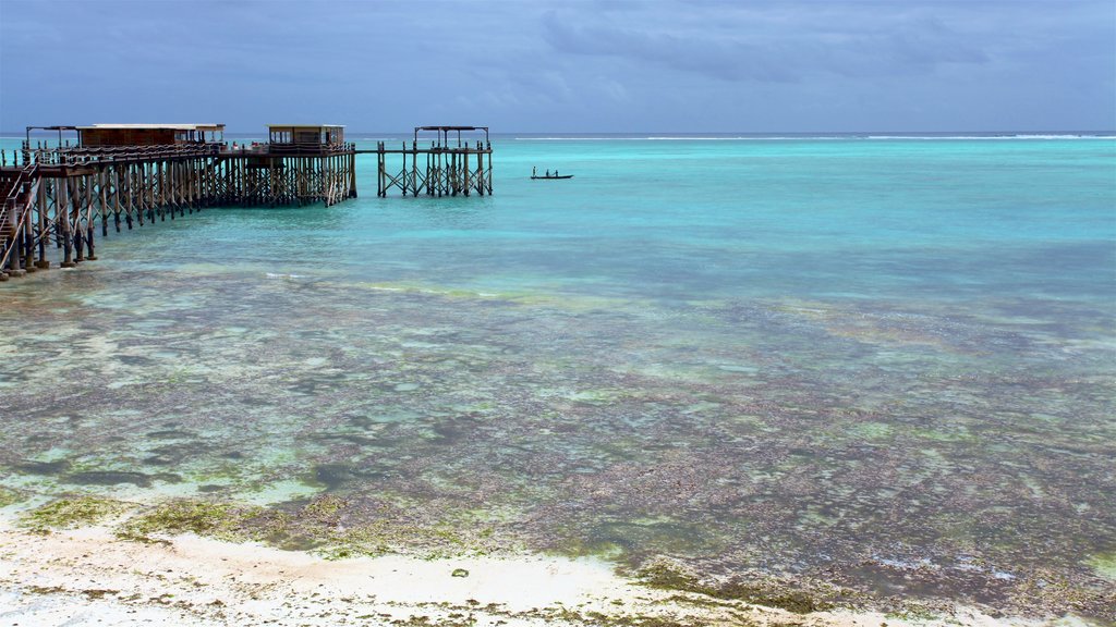 Praia Nungwi mostrando cenas tropicais, recifes coloridos e paisagens litorâneas