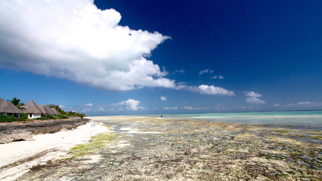 Playa de Nungwi ofreciendo una playa, escenas tropicales y corales