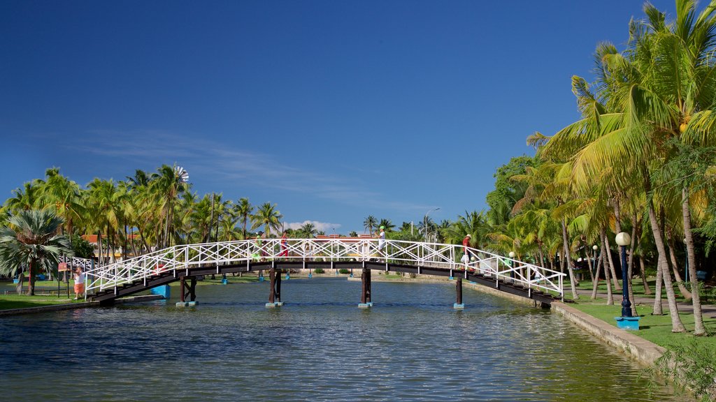 Josone Park que inclui um lago ou charco e uma ponte