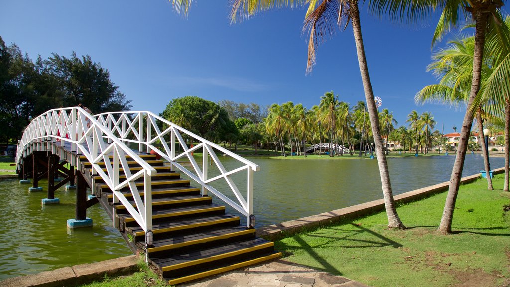 Josone Park featuring a lake or waterhole, a garden and a bridge