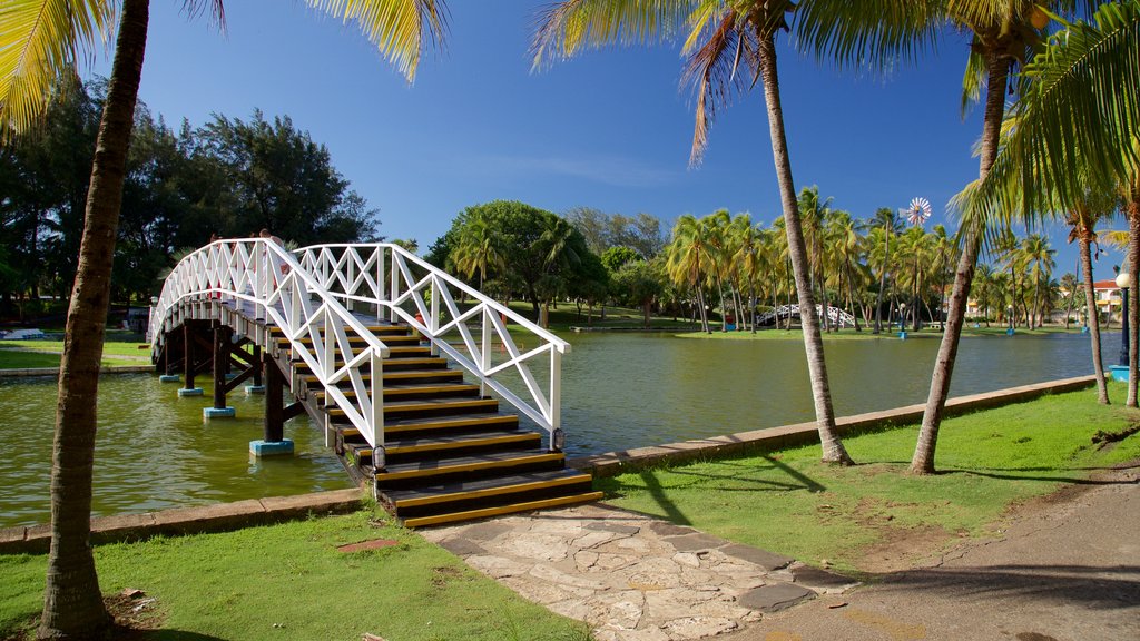 Josone Park featuring a park, a lake or waterhole and a bridge