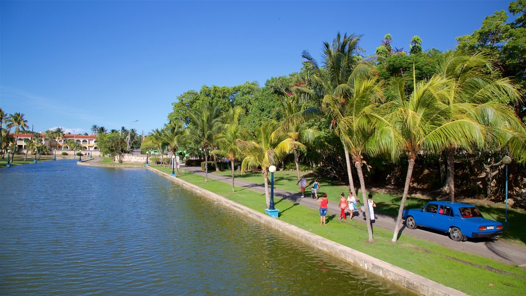 Josone Park que incluye un parque y un lago o espejo de agua