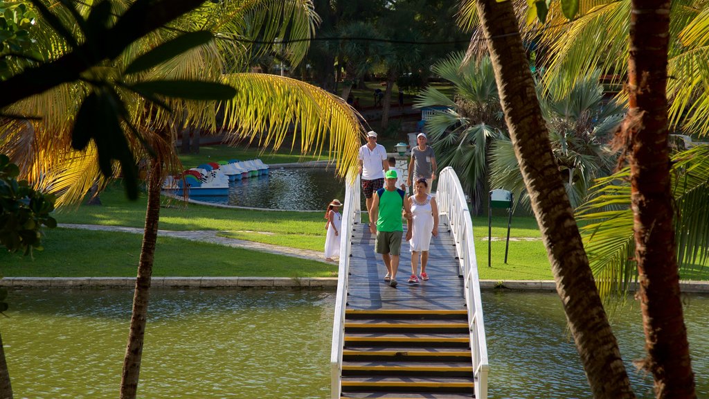 Josone Park which includes a garden, a lake or waterhole and a bridge