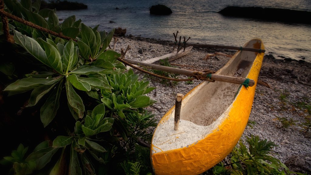 Tonga som inkluderar kustutsikter