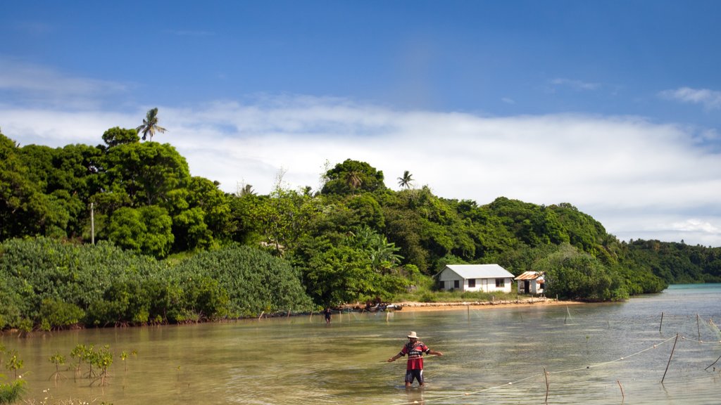 Tonga caracterizando pântano e pesca assim como um homem sozinho