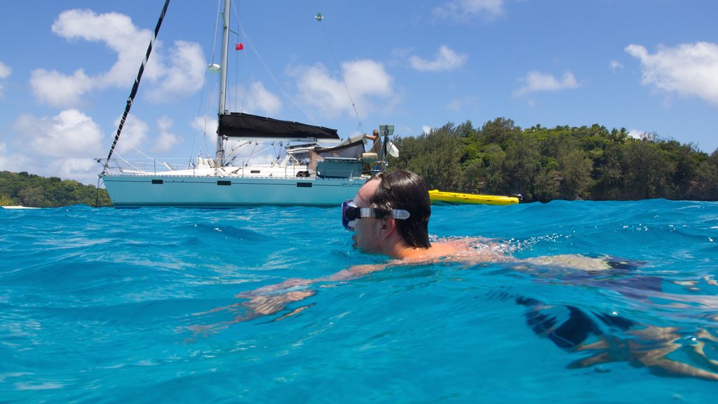 Tonga montrant baignade aussi bien que homme