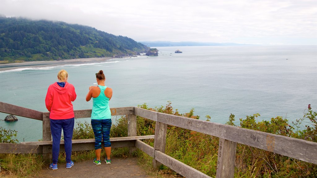 Klamath River Overlook mostrando paisagens litorâneas e paisagens assim como um casal