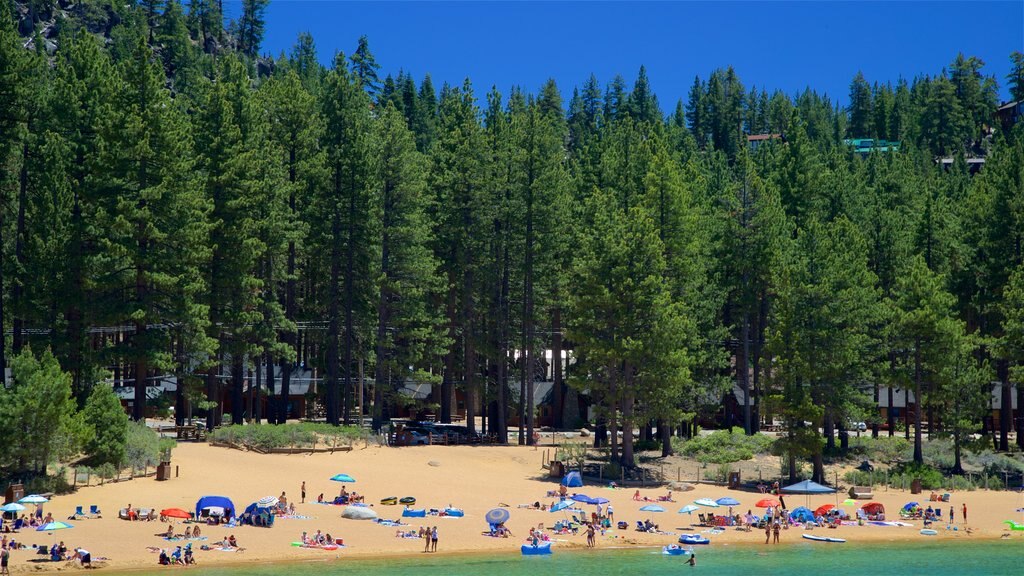 Zephyr Cove caracterizando uma praia de areia e paisagens litorâneas